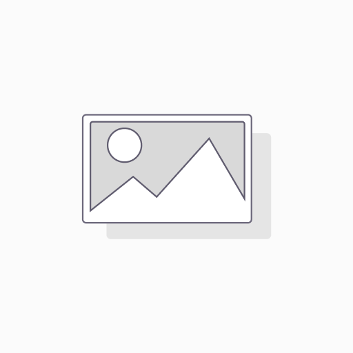 IPHONE 13 PMAX A2641 SGA ORO 256